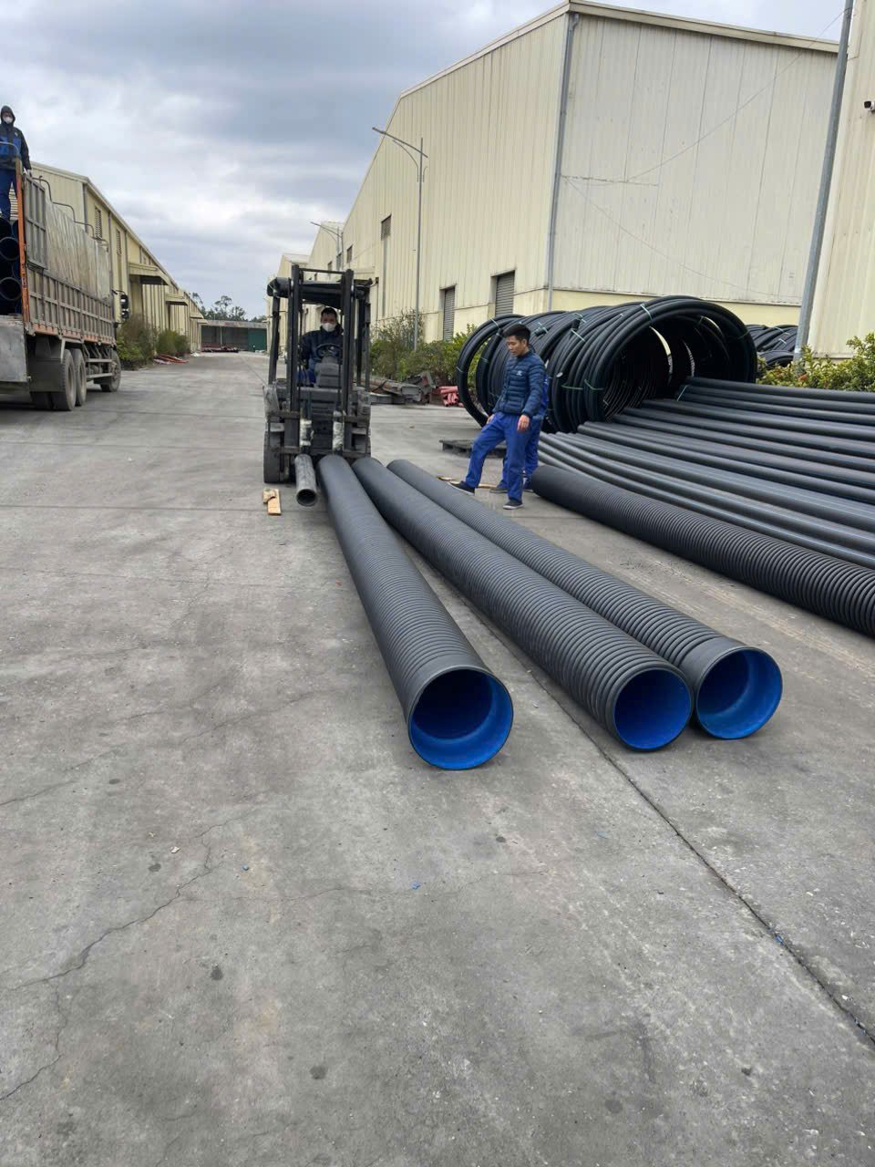 giá ống hdpe hoa sen​