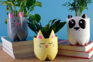 Cách tái chế chai nhựa thành chậu hoa​