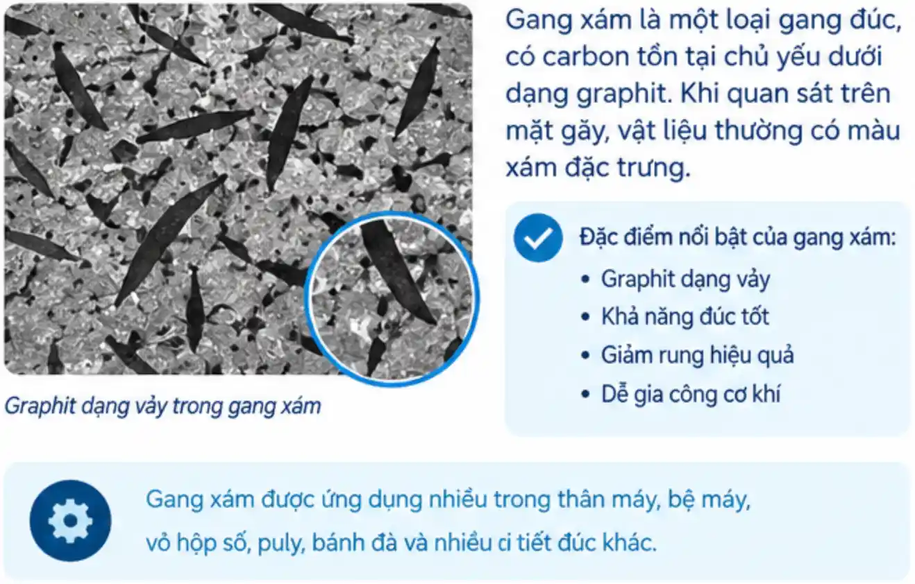 gang xám là gì